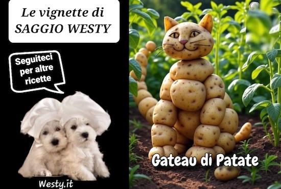 https://westy.it/varie/FRASI/GREG2025-07-08.jpg