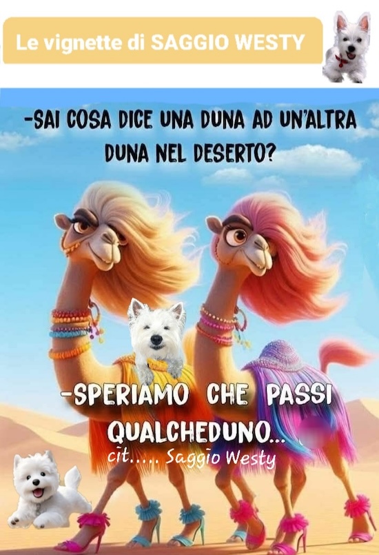 https://westy.it/varie/FRASI/GREG2025-07-09.jpg