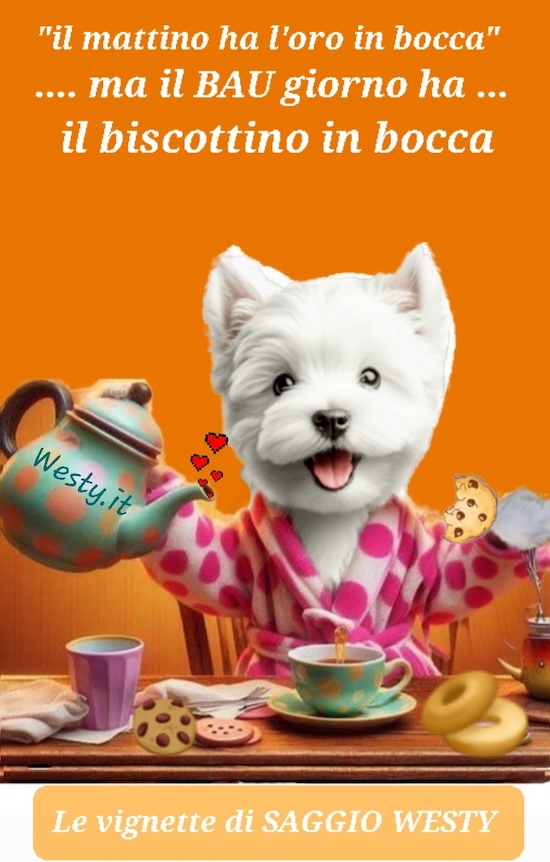 Buongiorno  Westy
