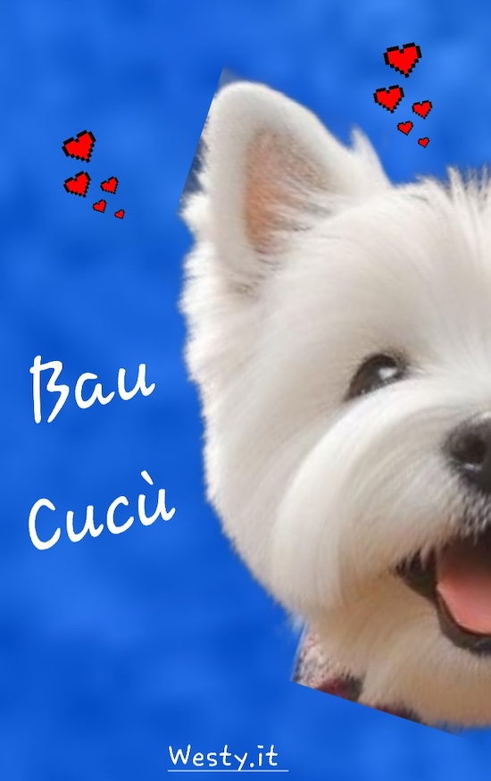 Buongiorno  Westy