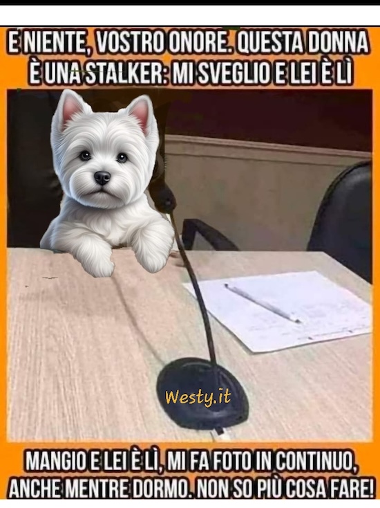 https://westy.it/varie/FRASI/GREG2025-07-16.jpg