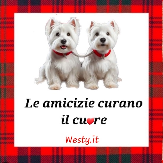 https://westy.it/varie/FRASI/GREG2025-07-20.jpg