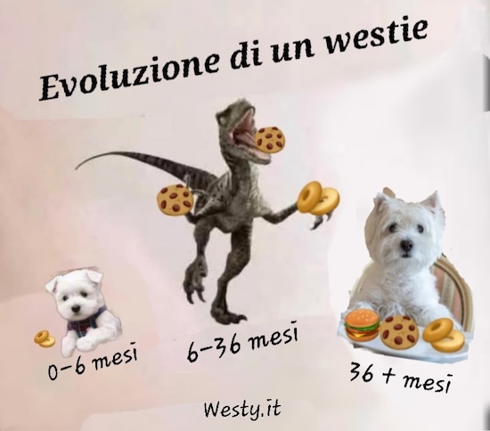 https://westy.it/varie/FRASI/GREG2025-08-05.jpg
