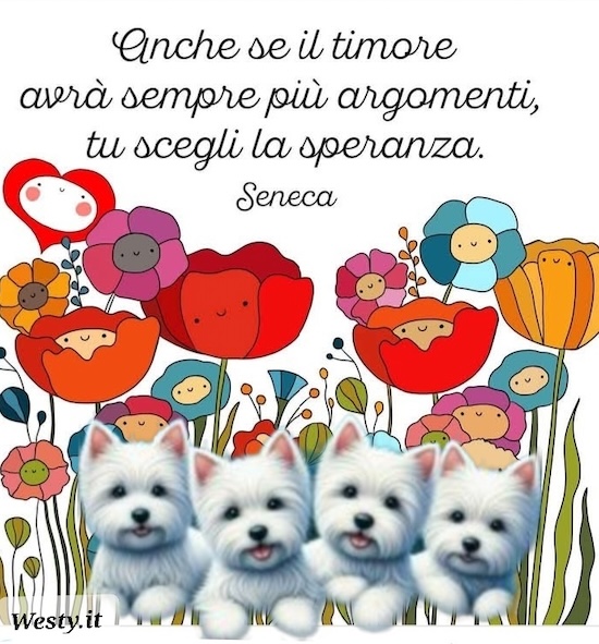 https://westy.it/varie/FRASI/GREG2025-08-07.jpg