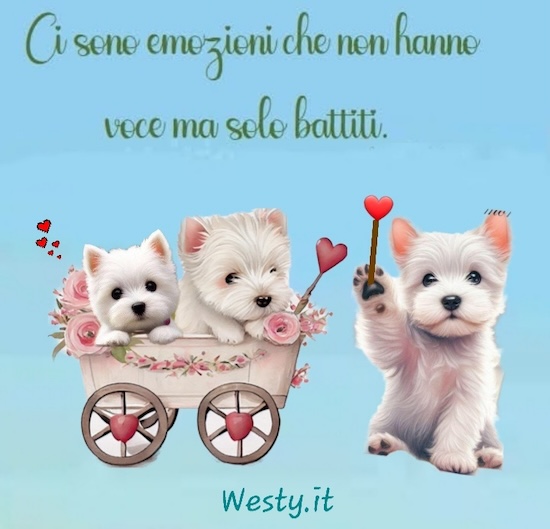 https://westy.it/varie/FRASI/GREG2025-08-10.jpg