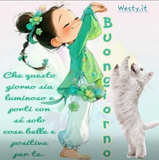 Buongiorno  Westy