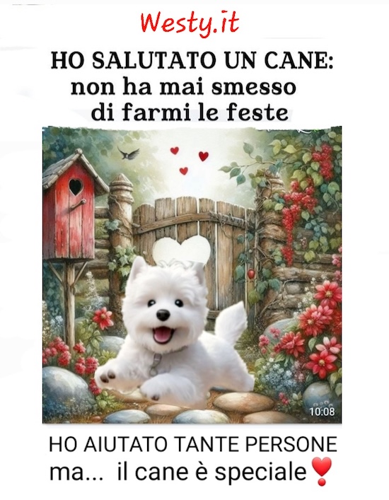 https://westy.it/varie/FRASI/GREG2025-08-14.jpg