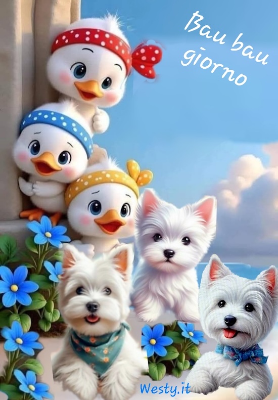 Buongiorno  Westy
