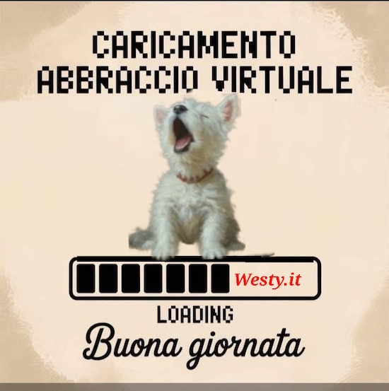https://westy.it/varie/FRASI/GREG2025-09-27.jpg