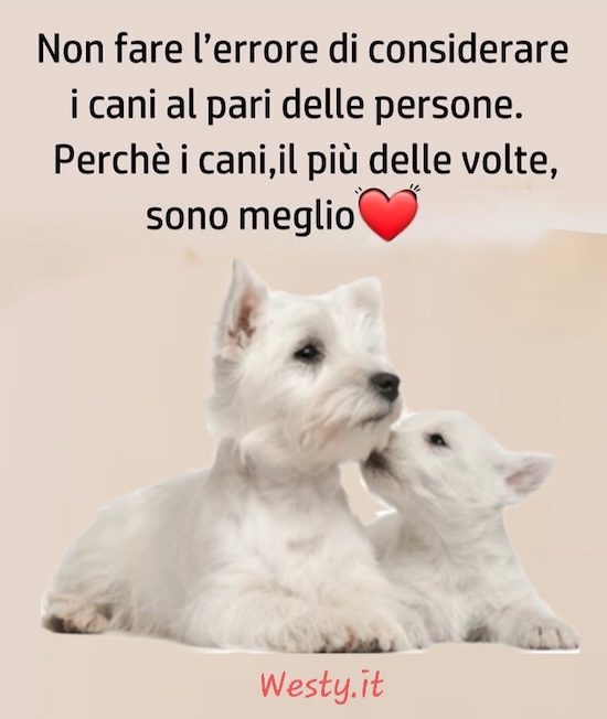https://westy.it/varie/FRASI/GREG2025-09-30.jpg