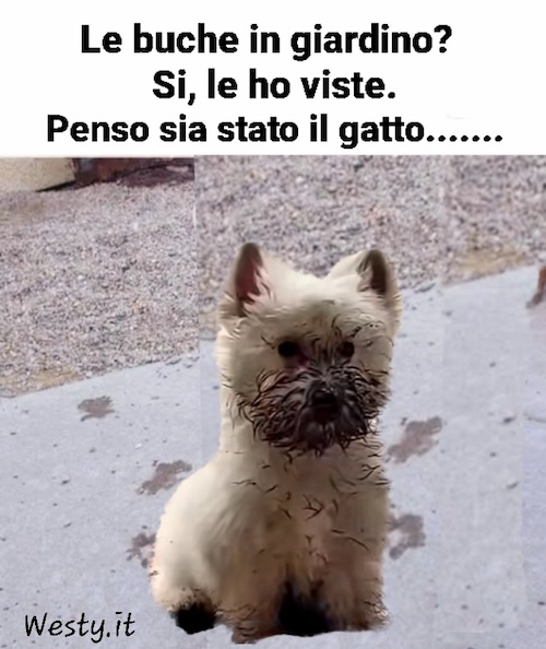 https://westy.it/varie/FRASI/GREG2025-10-02.jpg