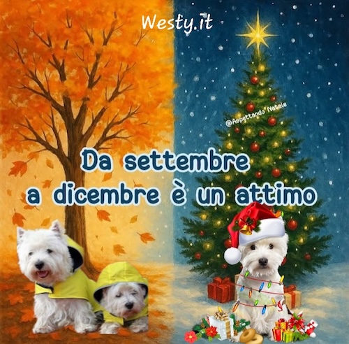 https://westy.it/varie/FRASI/GREG2025-10-03.jpg