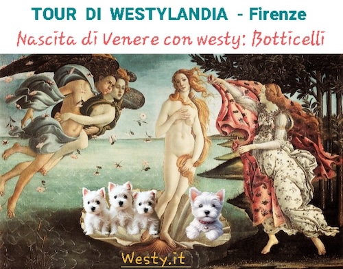 Buongiorno  Westy
