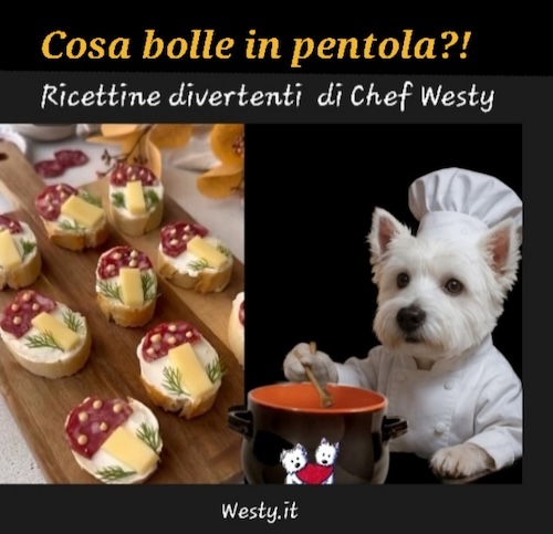 Buongiorno Westy