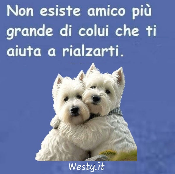 Buongiorno  Westy