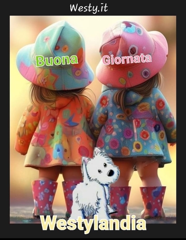 Buongiorno  Westy