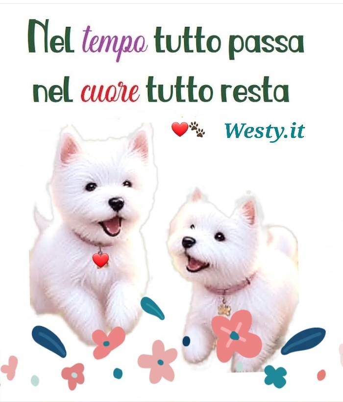 https://westy.it/varie/FRASI/GREG2026-03-19.jpg