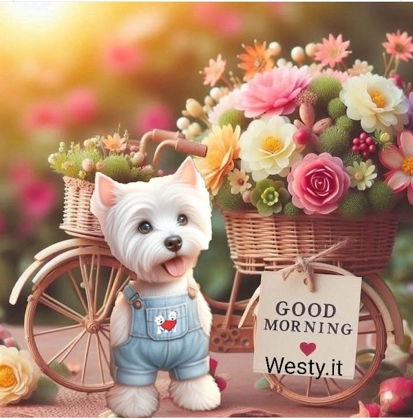 https://westy.it/varie/FRASI/GREG2026-04-25.jpg