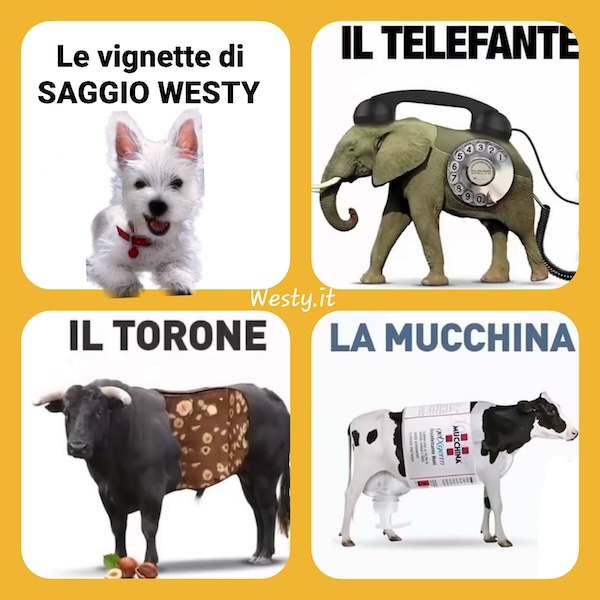 https://westy.it/varie/FRASI/GREG2026-05-03.jpg