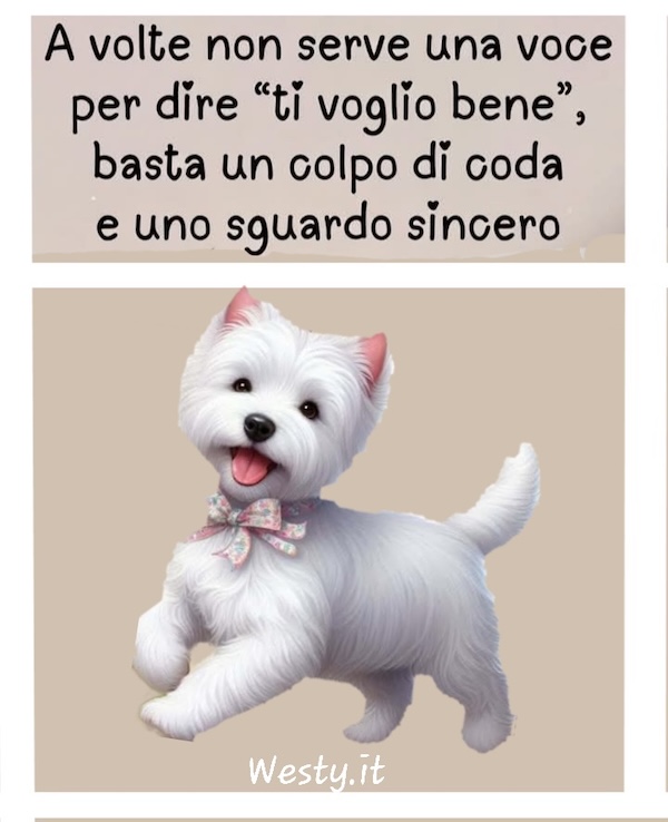 https://westy.it/varie/FRASI/GREG2026-05-11.jpg