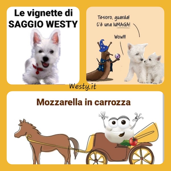 https://westy.it/varie/FRASI/GREG2026-06-05.jpg