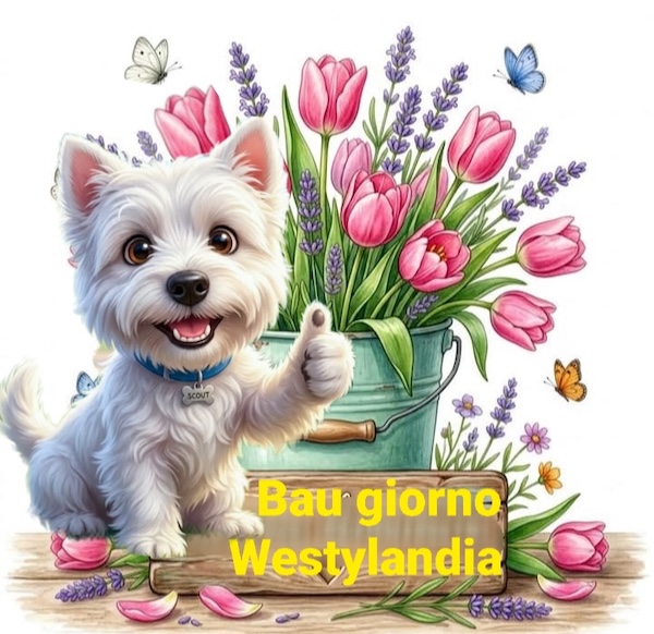 https://westy.it/varie/FRASI/GREG2026-06-09.jpg