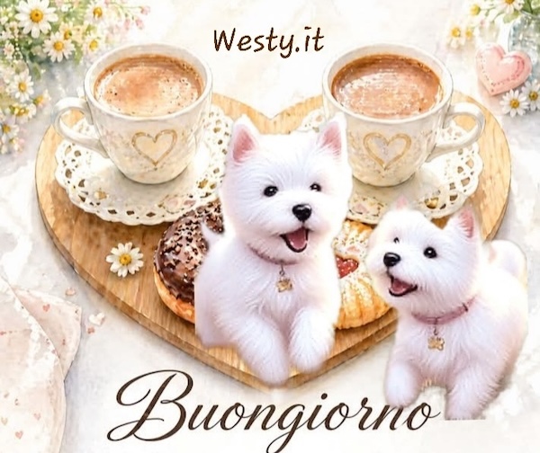 https://westy.it/varie/FRASI/GREG2026-06-10.jpg