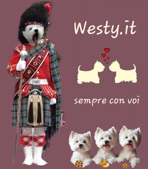 https://westy.it/varie/FRASI/GREG2026-06-22.jpg