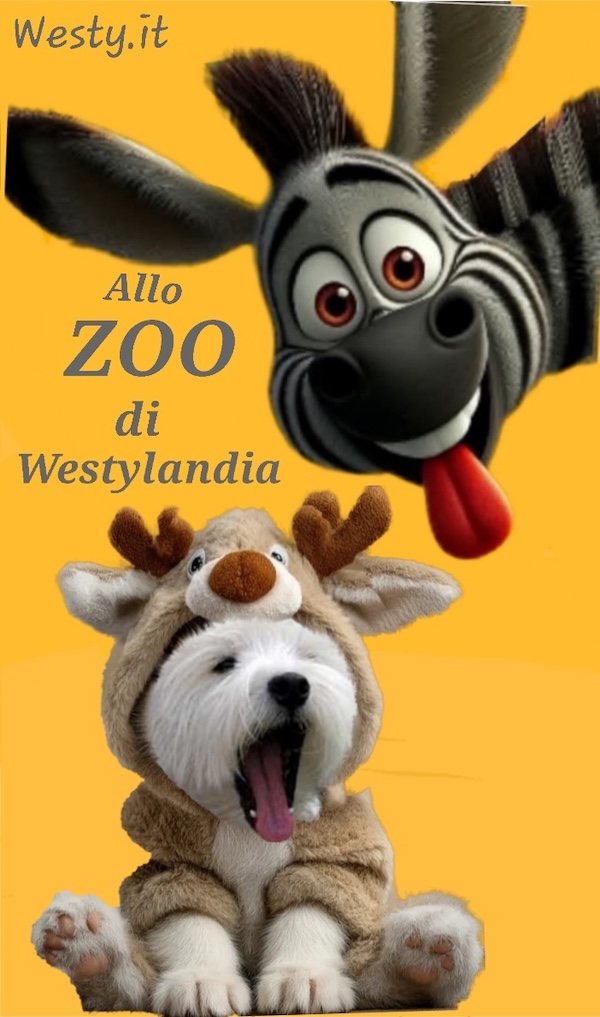 Buongiorno Westy