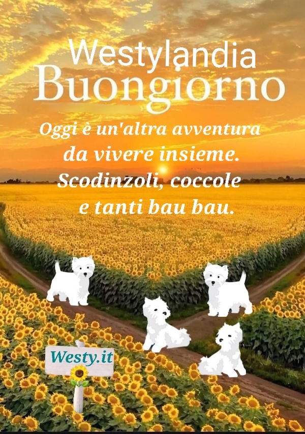 https://westy.it/varie/FRASI/GREG2026-07-28.jpg