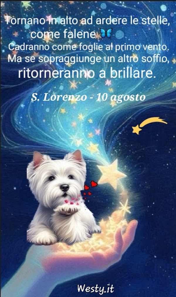 Buongiorno  Westy