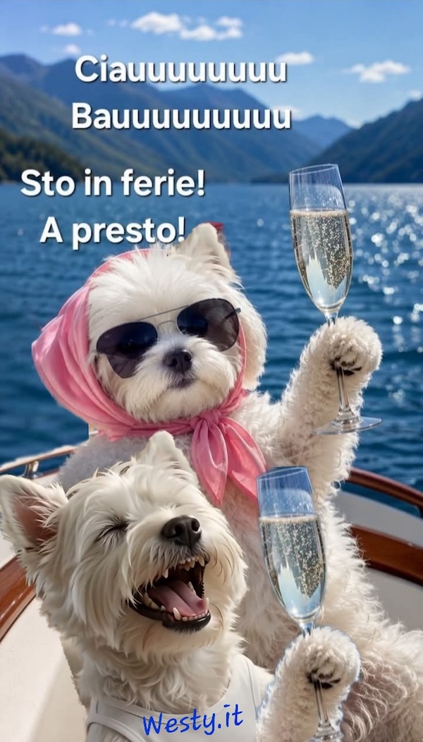 Buongiorno  Westy