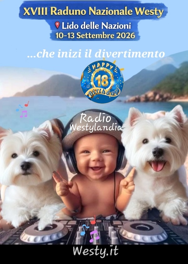 Buongiorno Westy