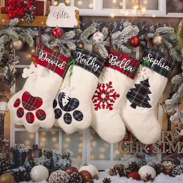 https://westy.it/varie/MissioneCanili2026/natale4.jpg