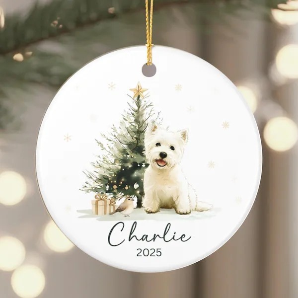 https://westy.it/varie/MissioneCanili2026/natale7.jpg