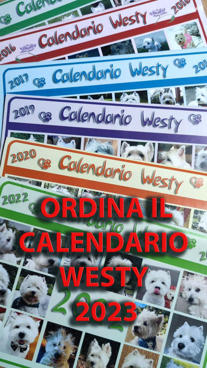 calendario Westy 2022