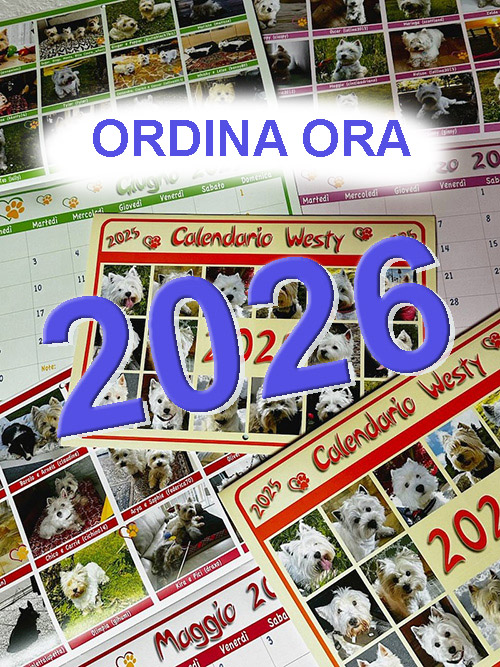Calendario Westy