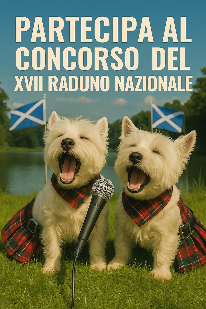 https://westy.it/varie/concorso.jpg