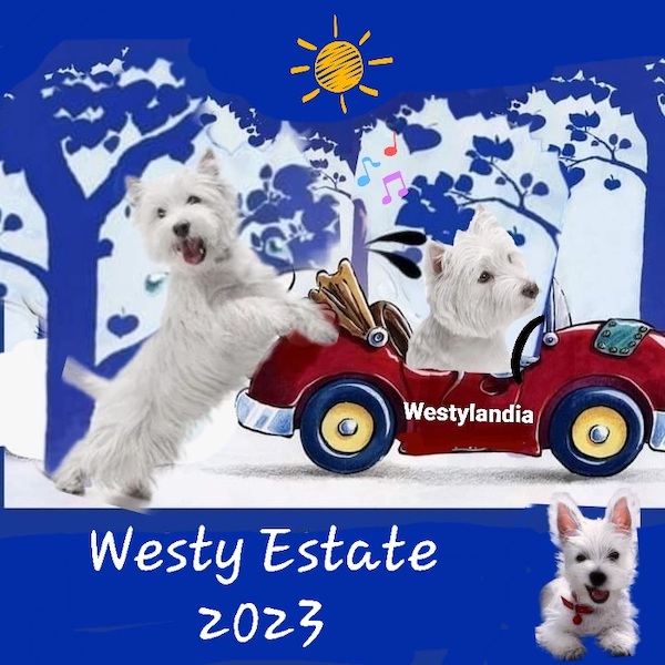 https://westy.it/varie/estate2023.jpg