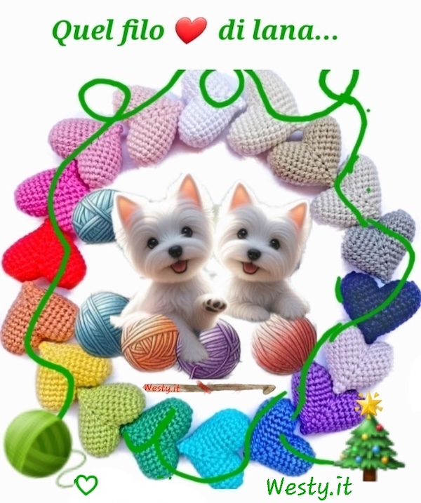 Racconto Stelline al Raduno