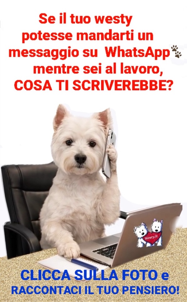 https://westy.it/varie/forum-whatsapp.jpg