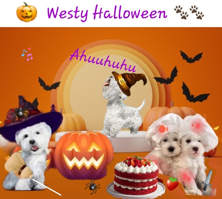 Westy Halloween